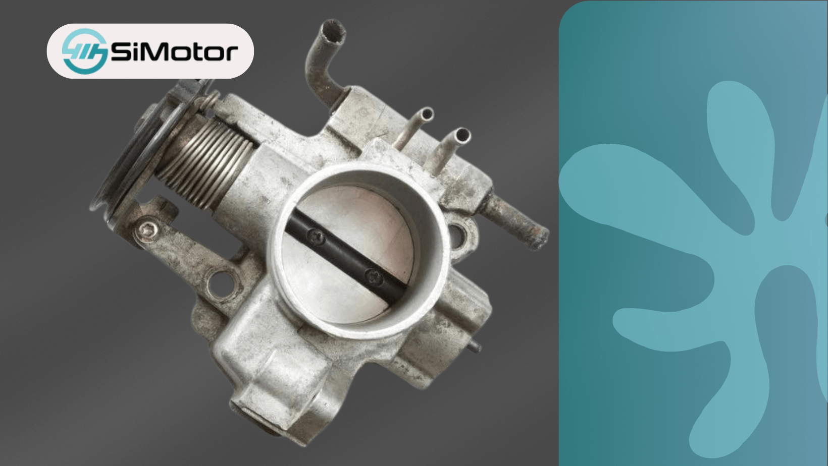 Throttle Body Motor, Ini Fungsi dan Cara Merawatnya